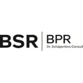 BPR Dr. Schäpertöns Consult GmbH&Co. KG