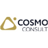 COSMO CONSULT SI GmbH