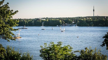 Aussicht auf den Wannsee vom Ufer aus bei schönem Wetter mit Booten.
