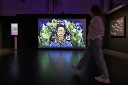 Impression Frida Kahlo Ausstellung in Hamburg