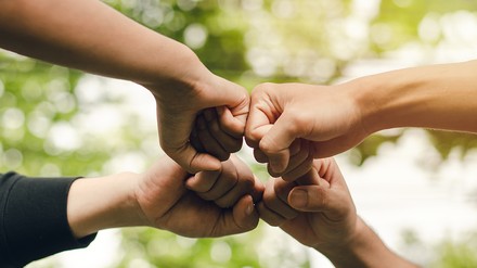Vier Hände in Fäusten, berühren sich als Check nach getaner gemeinsamer Arbeit