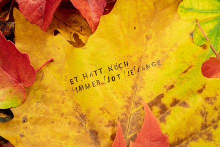 Ein Blatt auf dem Boden auf dem der kölsche Spruch „et hätt noch immer jot jejange“ zu lesen ist.