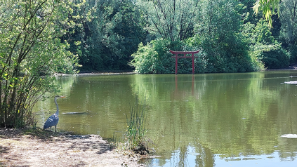 See auf dem Uni-Gelände des Campus der Universität Augsburg.