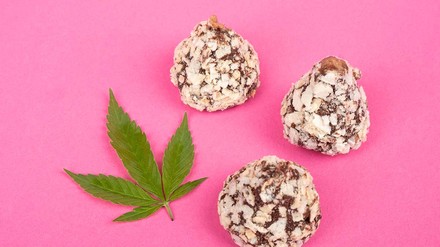 Auch Trüffelbällchen kann man mit Cannabis verfeinern. (Foto: © stock.adobe.com/fukume) Cannabisblatt mit Trüffelbällchen vor pinkem Hintergrund.