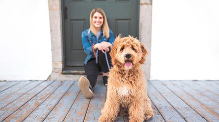 Wenn ein Tier in die WG zieht, sollten sich alle einig sein. (Foto: © stock.adobe.com/Pololia) Hund vor Studentin an Leine.