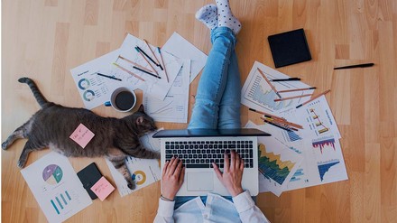 Die Arbeitszeiten und -umstände verbessern sich gerade enorm für Arbeitnehmende. (Foto: © stock.adobe.com/agcreativelab) Mensch mit Katze im Homeoffice.